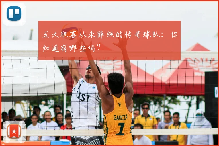 五大联赛从未降级的传奇球队：你知道有哪些吗？