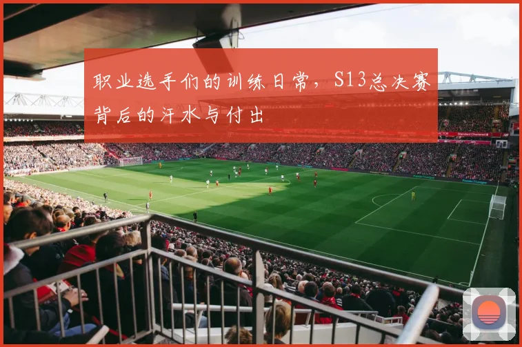 职业选手们的训练日常，S13总决赛背后的汗水与付出