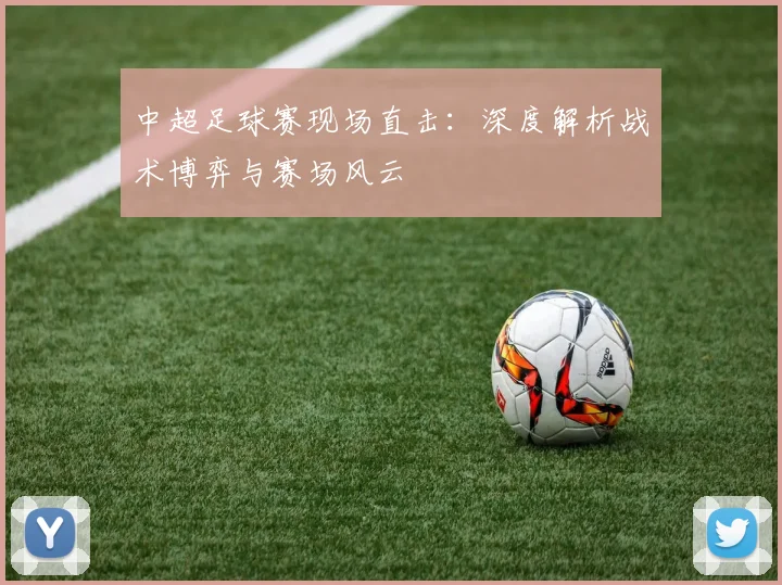 中超足球赛现场直击:深度解析战术博弈与赛场风云